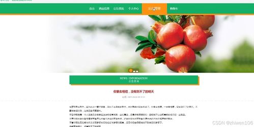 基于Node.js与Vue.js的农特产品销售系统计算机毕业设计