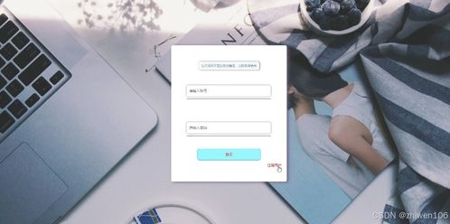 基于Node.js与Vue.js的流浪动物管理系统的设计与实现